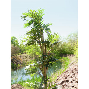Europalms Parlour Palme, Kunstpflanze, 150cm