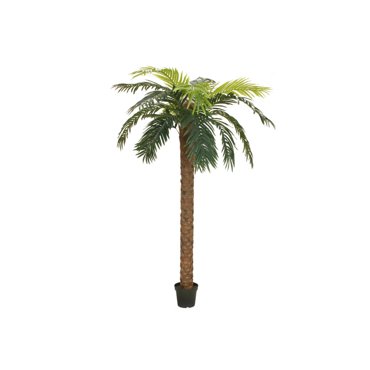 Europalms Phoenix Palm deluxe, artificial plant, 300cm