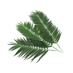 Europalms Kokos-Palmwedel, künstlich, 90cm 12x