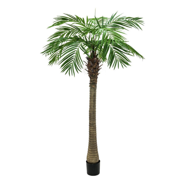 Europalms Phönixpalme luxor, Kunstpflanze, 240cm