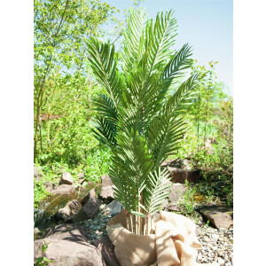 Europalms Kentia Palme, Kunstpflanze, 140cm