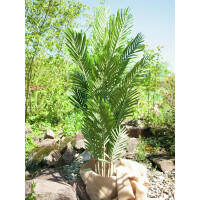 Europalms Kentia Palme, Kunstpflanze, 140cm