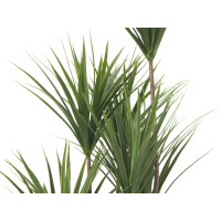 Europalms Yucca Palme, Kunstpflanze, 130cm