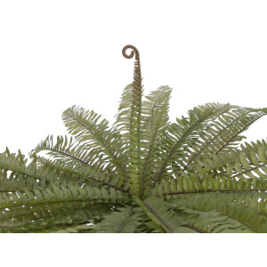 Europalms royal fern, artificial plant, green, 70cm