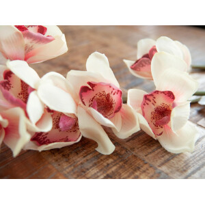Europalms Cymbidiumzweig, künstlich, creme-pink, 90cm