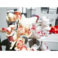 Europalms Cymbidiumzweig, künstlich, creme-pink, 90cm