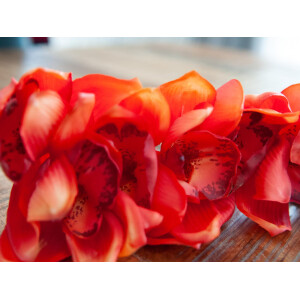 Europalms Cymbidiumzweig, künstlich, rot, 90cm