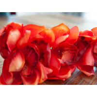 Europalms Cymbidiumzweig, künstlich, rot, 90cm