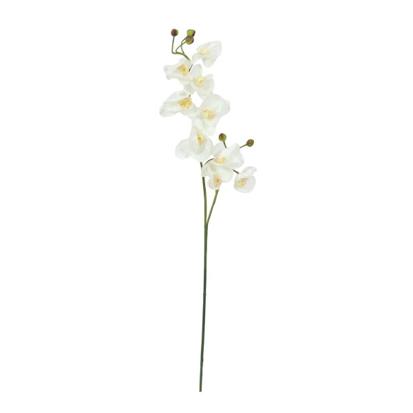 Europalms Orchideenzweig, künstlich, creme-weiß, 100cm
