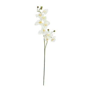 Europalms Orchideenzweig, künstlich, creme-weiß, 100cm