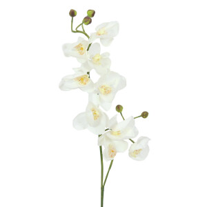 Europalms Orchideenzweig, künstlich, creme-weiß, 100cm