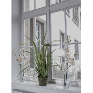 Europalms Orchideenzweig, künstlich, creme-weiß, 100cm