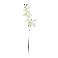 Europalms Orchideenzweig, künstlich, creme-weiß, 100cm