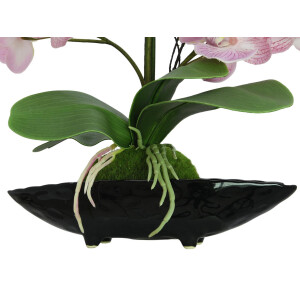 Europalms Orchideen-Arrangement (EVA), künstlich, lila