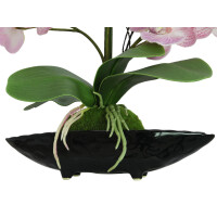 Europalms Orchideen-Arrangement (EVA), künstlich, lila