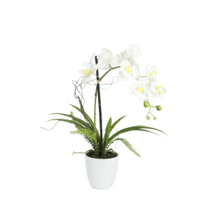 Europalms Orchideen-Arrangement 1, k&uuml;nstlich