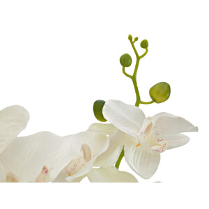 Europalms Orchidee, Kunstpflanze, cremefarben, 80cm