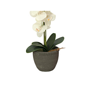 Europalms Orchidee, Kunstpflanze, cremefarben, 80cm