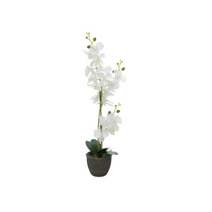 Europalms Orchidee, Kunstpflanze, weiß, 80cm