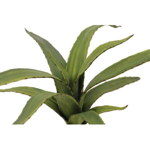 Europalms Aloe (EVA), künstlich, grün, 66cm