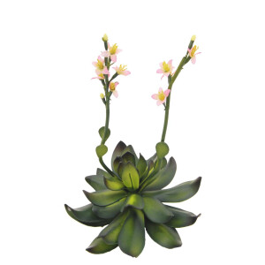 Europalms Steinrose (EVA), Kunstpflanze, pink, 32cm