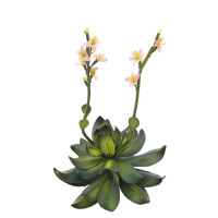 Europalms Steinrose (EVA), Kunstpflanze, pink, 32cm