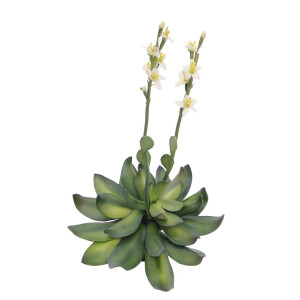 Europalms Steinrose (EVA), Kunstpflanze, gelb, 32cm