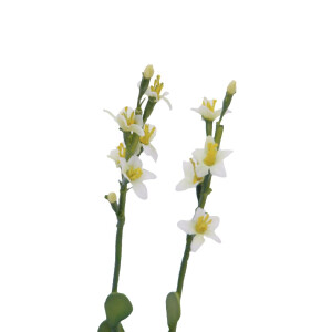 Europalms Steinrose (EVA), Kunstpflanze, gelb, 32cm