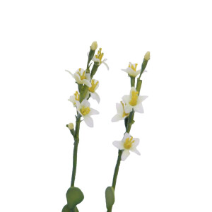 Europalms Steinrose (EVA), Kunstpflanze, gelb, 32cm