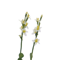 Europalms Steinrose (EVA), Kunstpflanze, gelb, 32cm