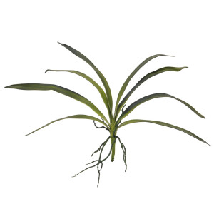 Europalms Orchideenblatt (EVA), künstlich, grün, 45cm