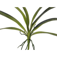 Europalms Orchideenblatt (EVA), künstlich, grün, 45cm
