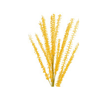 Europalms Steinkleezweig (EVA), künstlich, gelb