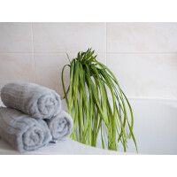 Europalms Seegras (EVA), künstlich, grün