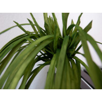 Europalms Seegras (EVA), künstlich, grün