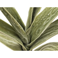 Europalms Yuccazweig (EVA), künstlich, grün