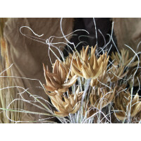 Europalms Artischocken Zweig (EVA), künstlich, beige, 100cm