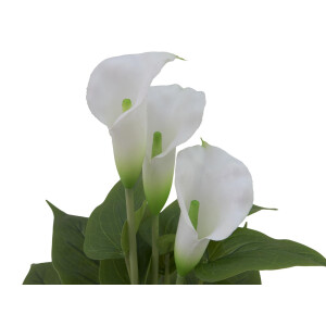Europalms Calla mini, Kunstpflanze, weiß, 43cm