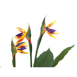 Europalms Strelizie, Kunstpflanze, 90cm