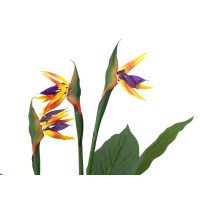 Europalms Strelizie, Kunstpflanze, 90cm