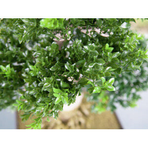 Europalms Buchsbonsai, Kunstpflanze, 61 cm