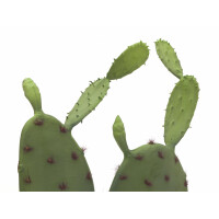 Europalms Blätterkaktus, Kunstpflanze, 75cm