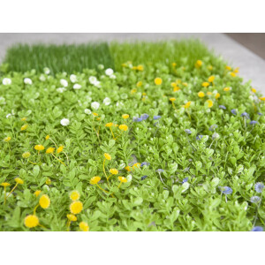 Europalms Buchsmatte, künstlich, grün-gelb, 25x25cm