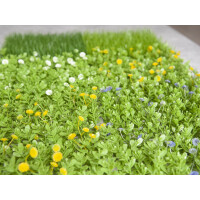 Europalms Buchsmatte, künstlich, grün-gelb, 25x25cm