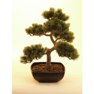 Europalms Bonsai-Pinie, Kunstpflanze, 50cm