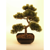 Europalms Bonsai-Pinie, Kunstpflanze, 50cm