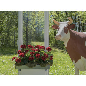 Europalms Geranie, künstlich, dunkelrot, 42cm