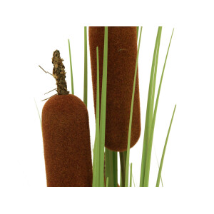 Europalms cattail, artificial plant, 150cm