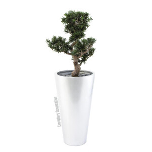 Europalms Bonsai Podocarpus, Kunstpflanze, 80cm