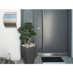 Europalms Bonsai Podocarpus, Kunstpflanze, 80cm